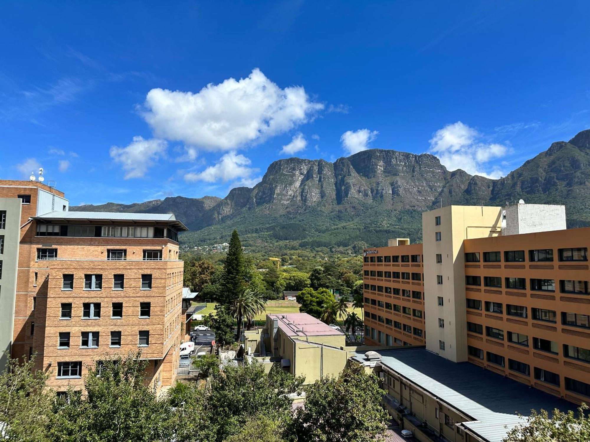 Newlands Peak Apartments Cape Town Dış mekan fotoğraf
