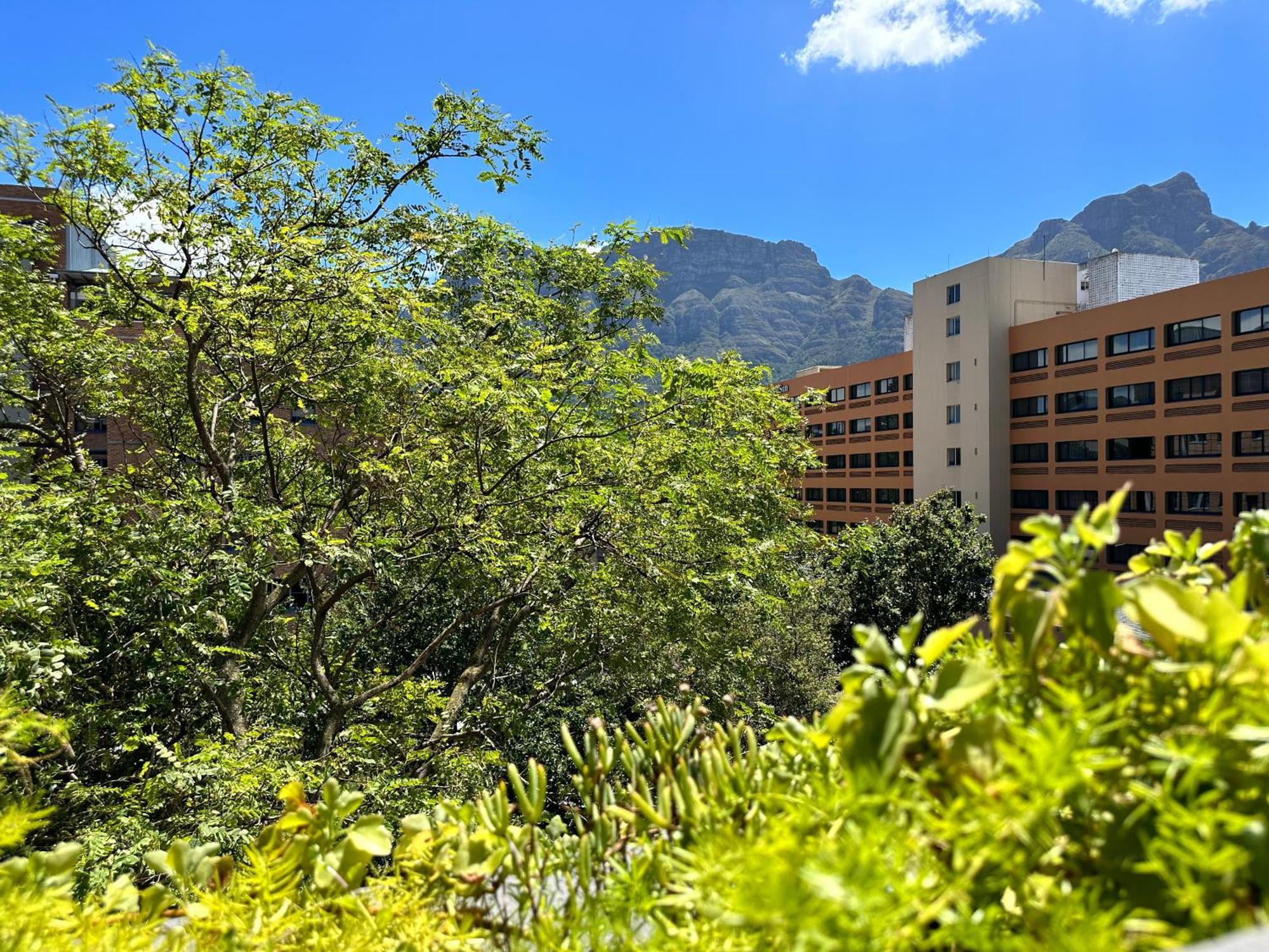 Newlands Peak Apartments Cape Town Dış mekan fotoğraf